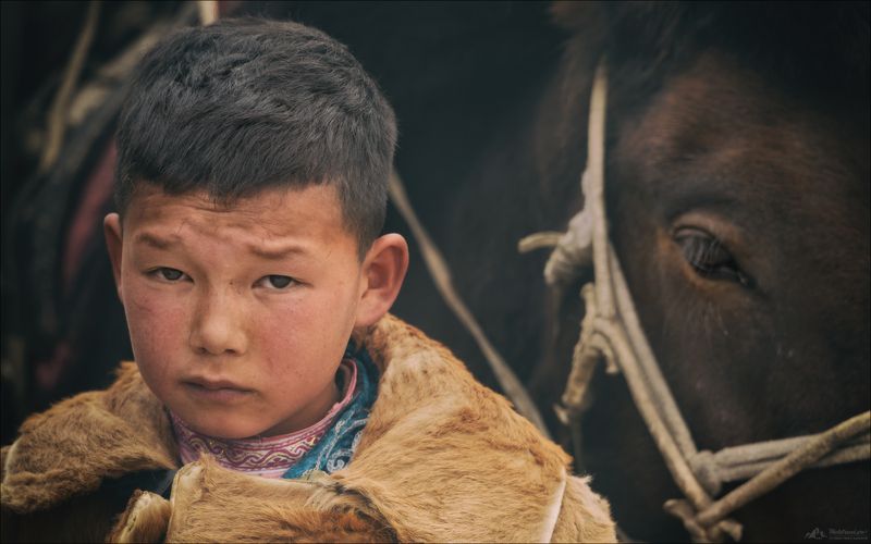 монголия, беркут, беркутчи, фестиваль охотников с беркутами, фототуры 2026, фототур на алтай и в монголию, фототур осень 2026 Молчаливый диалогphoto preview