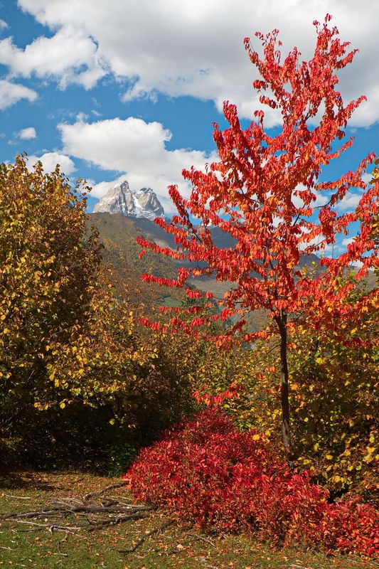 грузия, сванетия, ушба Яркий нарядphoto preview