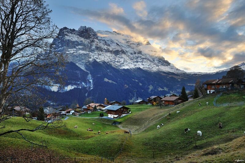 swiss Пасторальphoto preview