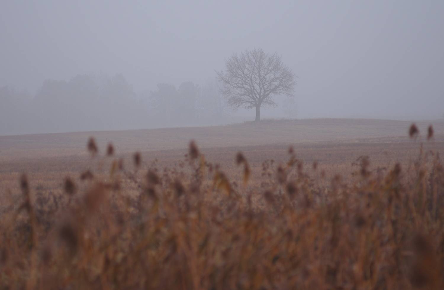 , Шляга Сергей