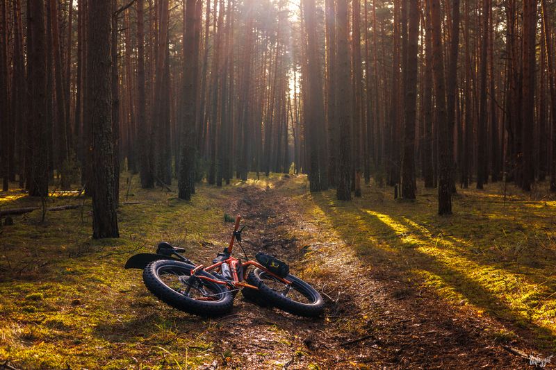 На фэтбайке по нац. парку Угра.photo preview