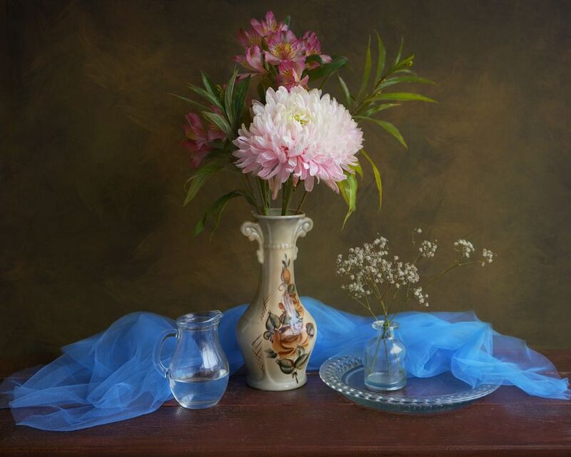 Хризантема фото превью