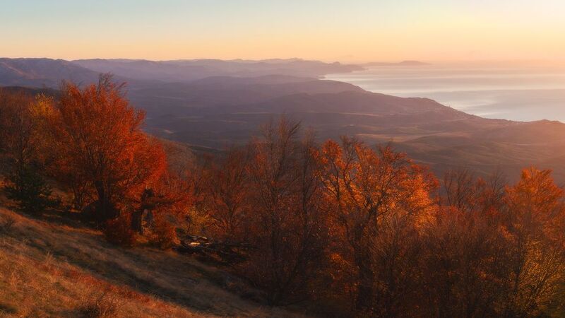 Панорама осеньphoto preview