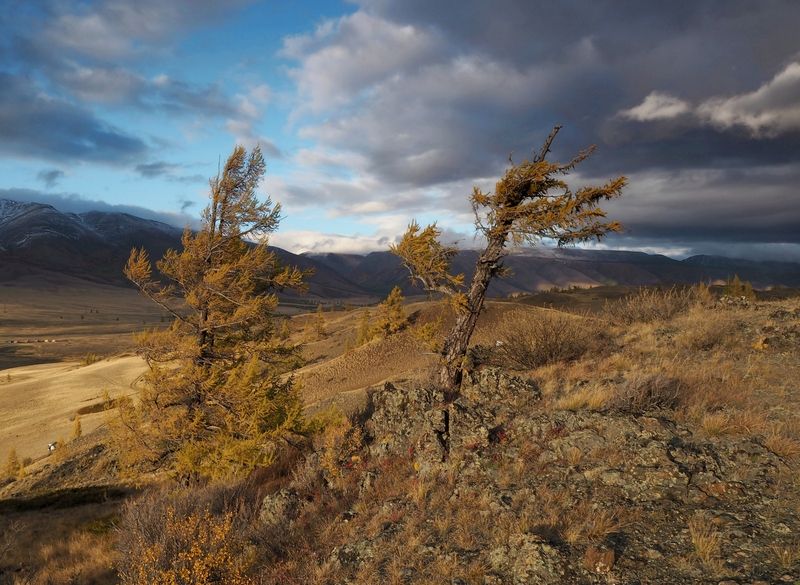 На ветрах... фото превью