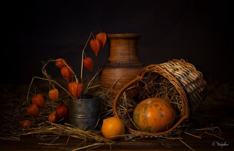 натюрморт, тыква, физалис Осенний теплый тонphoto preview