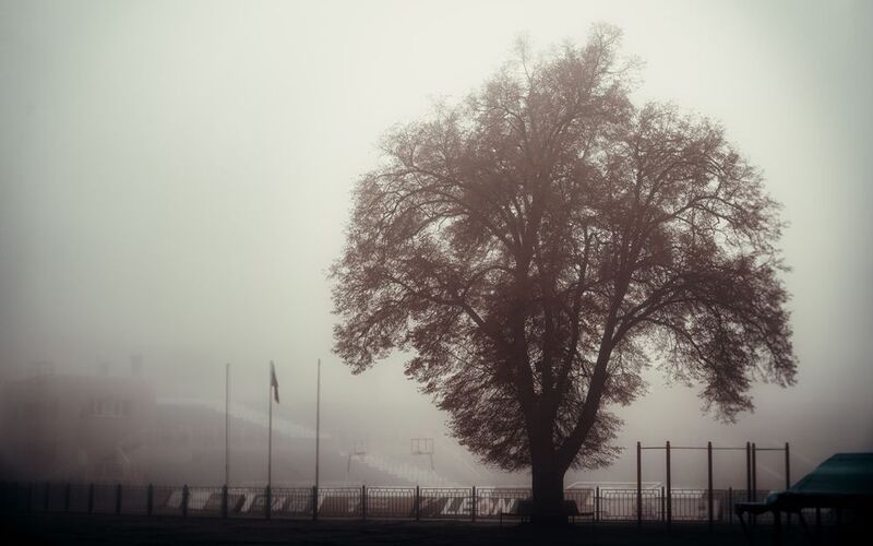 Туманphoto preview