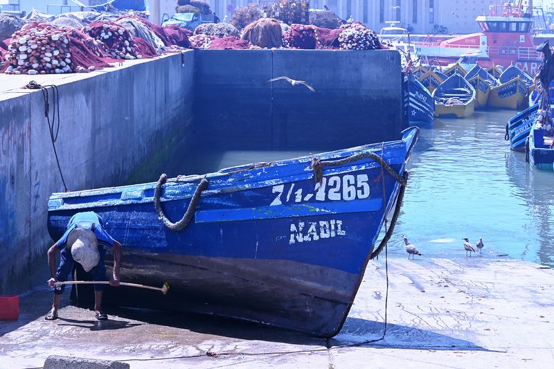 В портуphoto preview