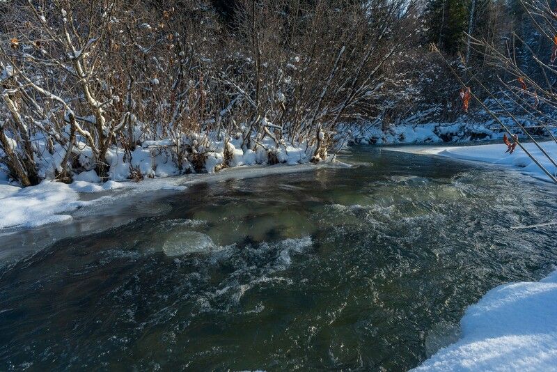 базаиха ноябрь ** *photo preview