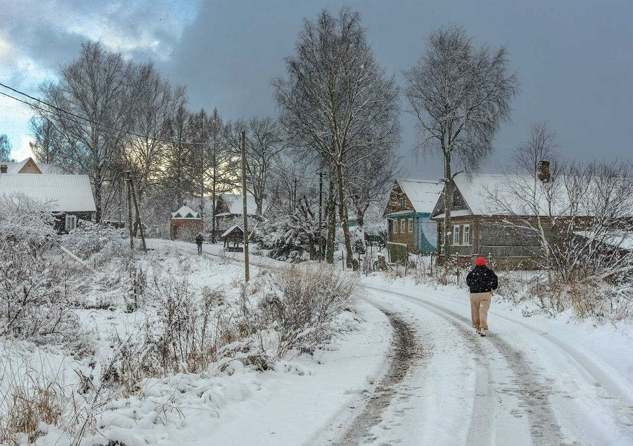 Дорогами ноября. Автор: Петр Косых , Петр Косых