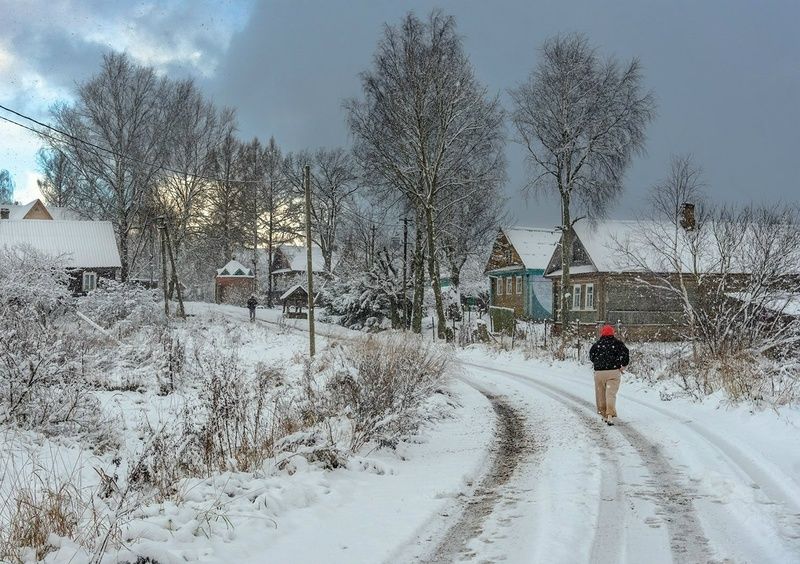 Дорогами ноябряphoto preview