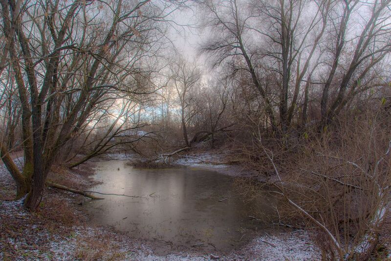 природа Предзимьеphoto preview