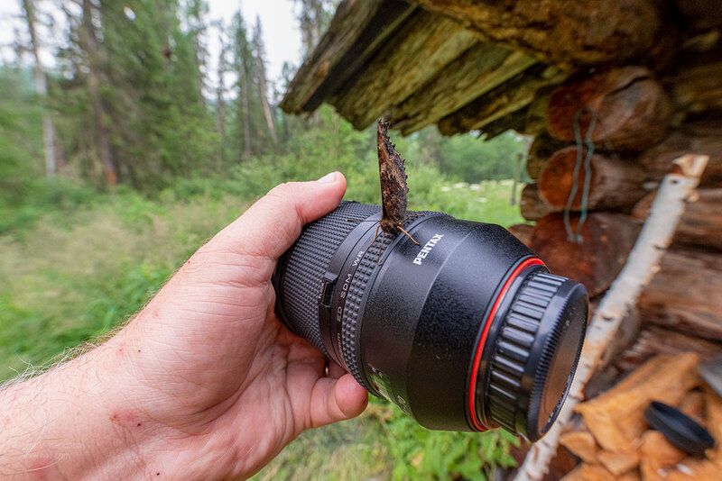 бабочек было много....photo preview