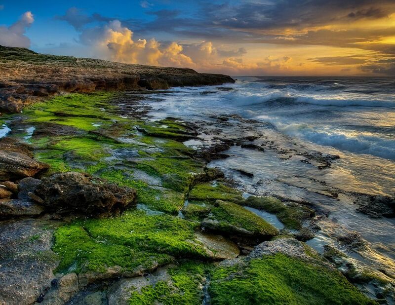 Зелёный бархат Средиземного моря.photo preview