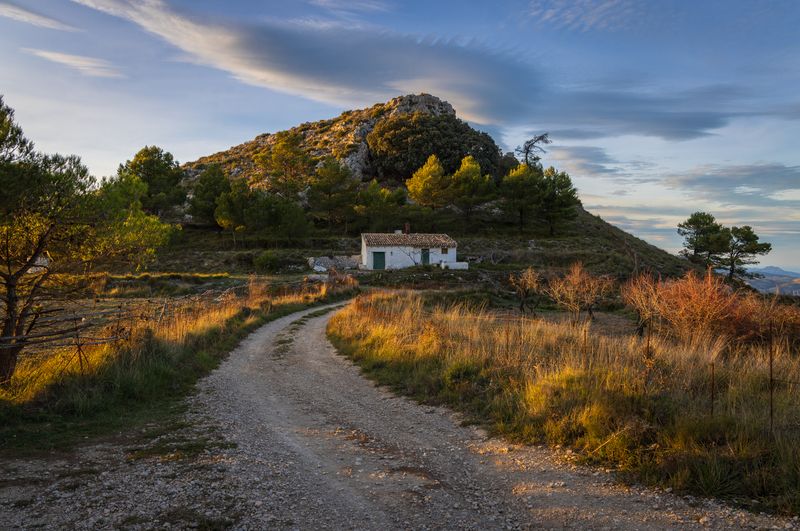 Вечерний светphoto preview