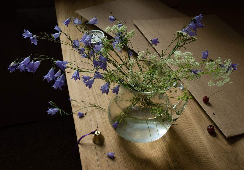 лето, колокольчики, букет О летеphoto preview