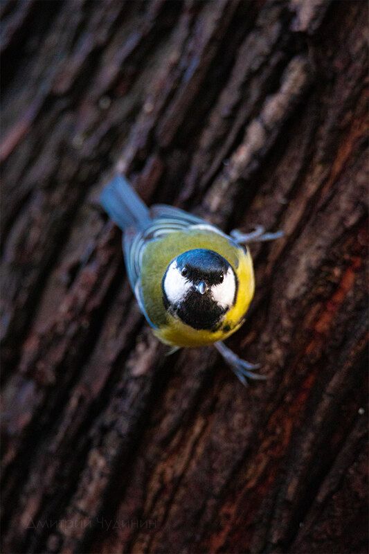 Эй, пацанчик, ты с какого района? фото превью