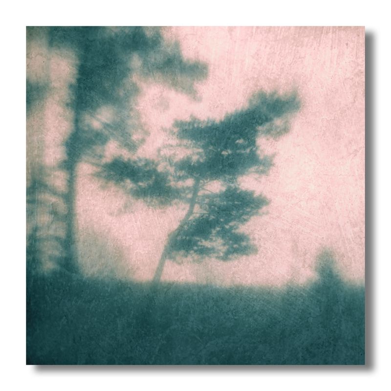 пикториализм, монокль, арт-фотография, художественная фотография, пикториальный пейзаж, пикториальная фотография, интимный пейзаж photo preview