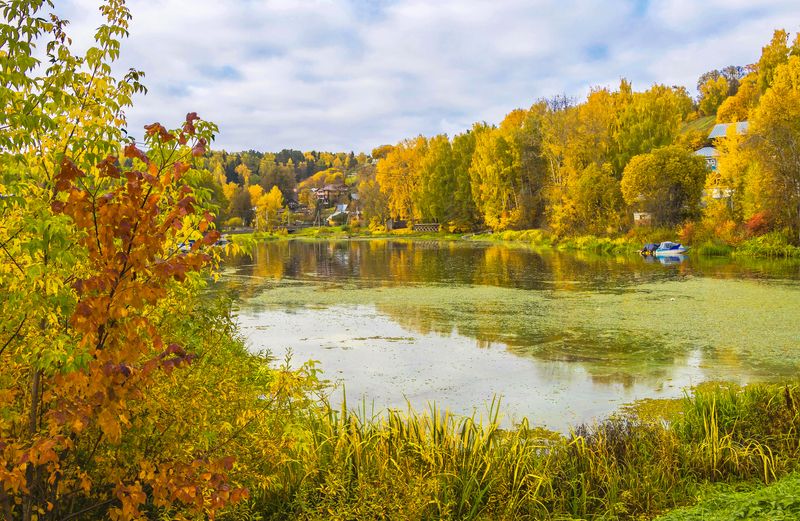 плес, осень, река шохонка Осенний Плесphoto preview