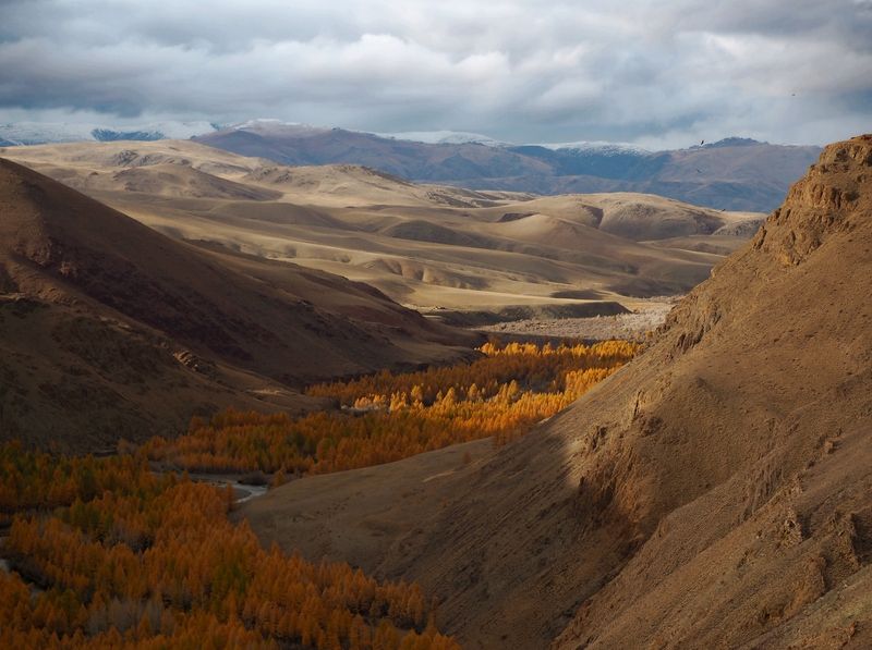 Алтай,осень фото превью