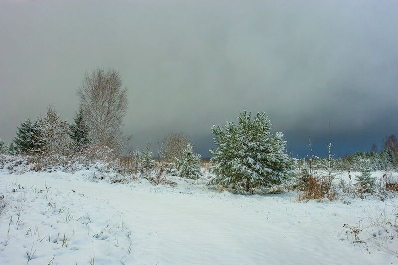 Первый снегphoto preview