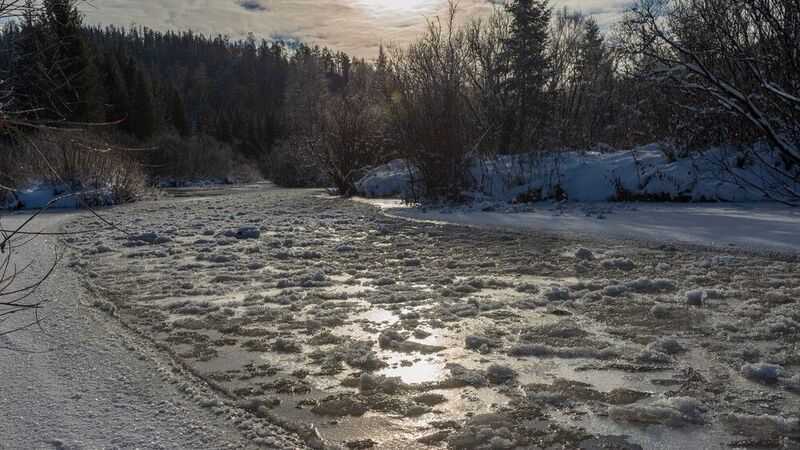 базаиха ноябрь Базаиха. Ноябрьphoto preview