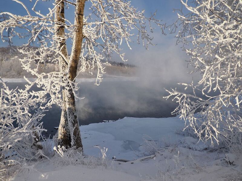 Иней, Томь, Сибирь Украсил инеем морозphoto preview