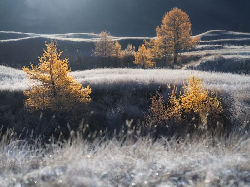 Цветовые контрасты фото превью