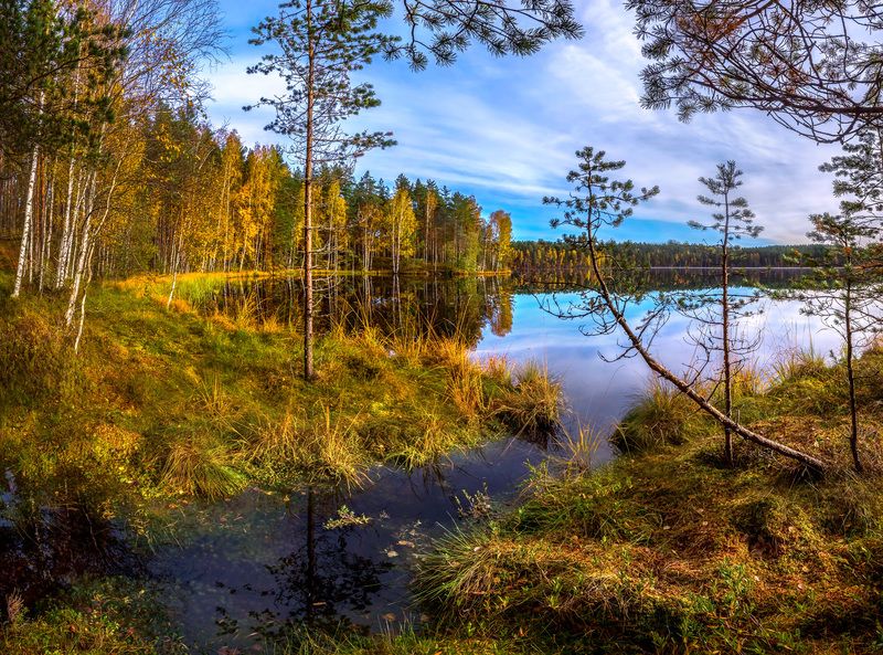 ленинградская область, рассвет, лето, осень, небо, красочное, дерево, облака, лес, водоём, озеро, пруд, река, рассвет, луг, отражение, берёза, река, Из серии «Пейзажные картины»photo preview