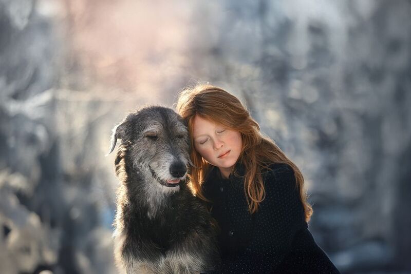 Мечтатели фото превью