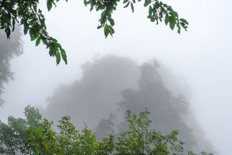 Завораживающий мир каменных Исполинов Чжанцзяцзе… The fascinating world of the stone Giants of Zhangjiajie...photo preview
