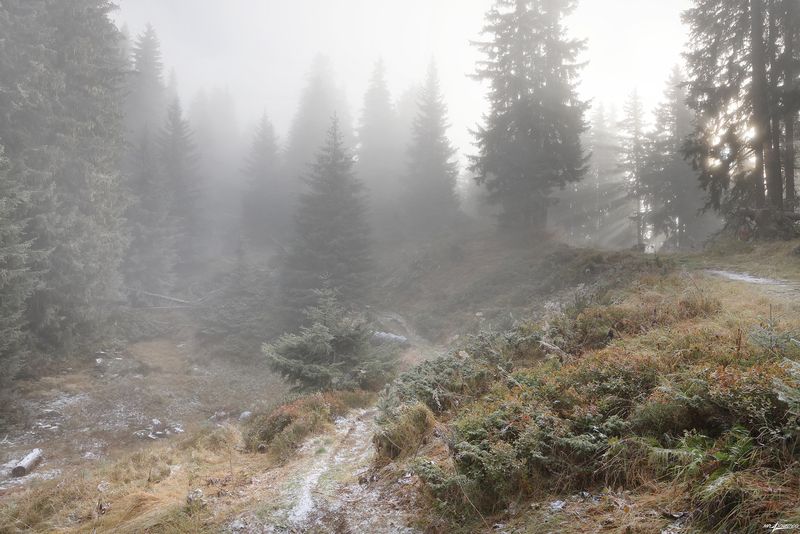 swiss Предзимьеphoto preview