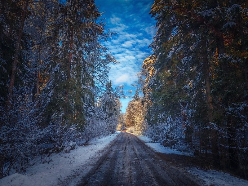 первый снег в подмосковьеphoto preview