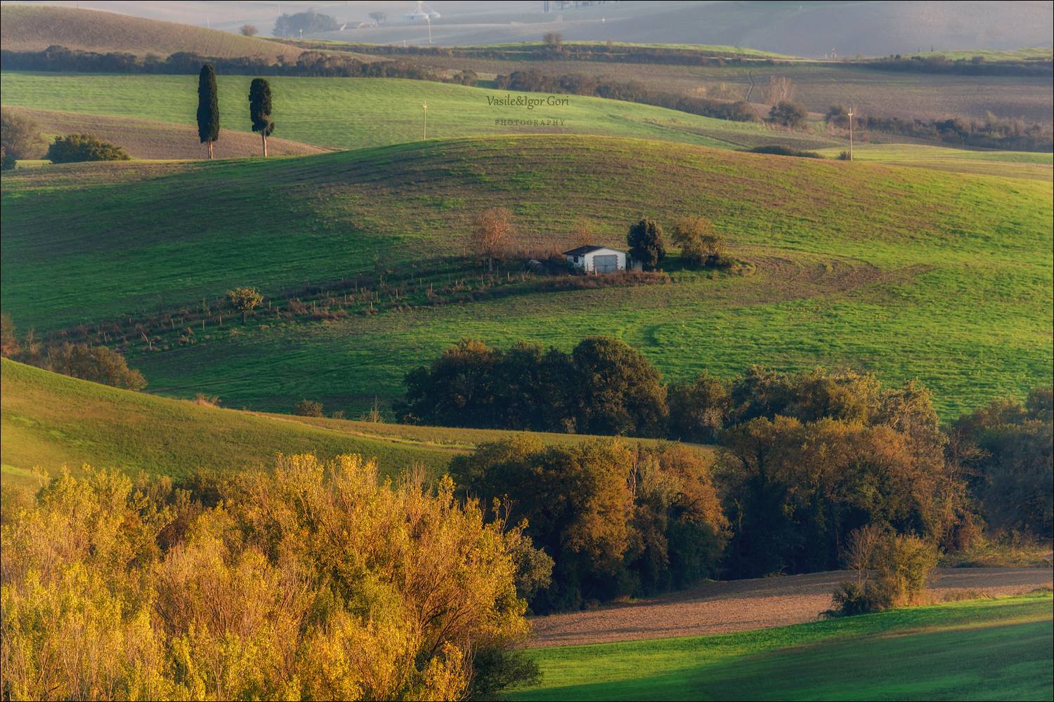 italy,san quirico d'orcia,italia,италия,тоскана,pienza,кипарис,toscana,осень,tuscany,cipressi,belvedere,пьенца,тени, Гори Василий