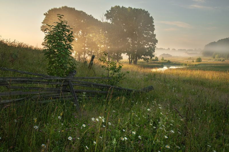 Летняя пасторальphoto preview