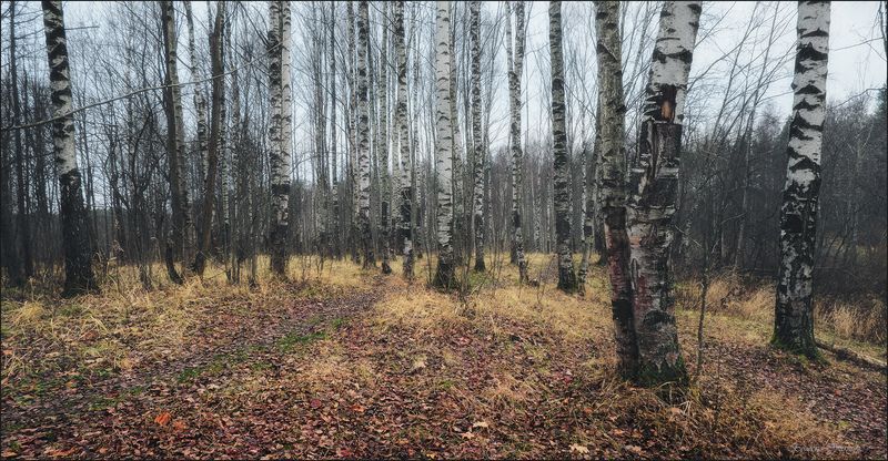 Предзимьеphoto preview