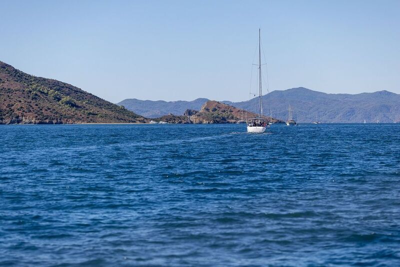 Регата Регата фото превью