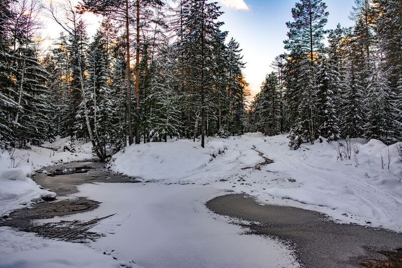 Осенняя дорогаphoto preview