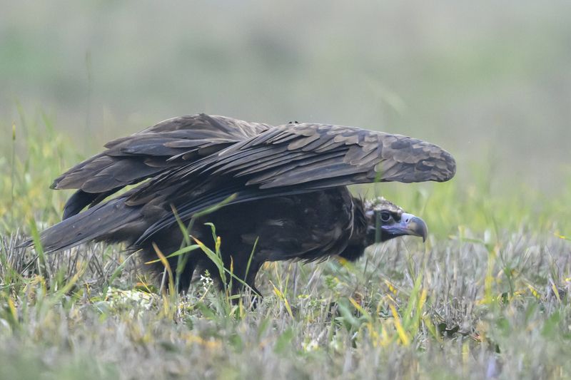 Пора сваливатьphoto preview