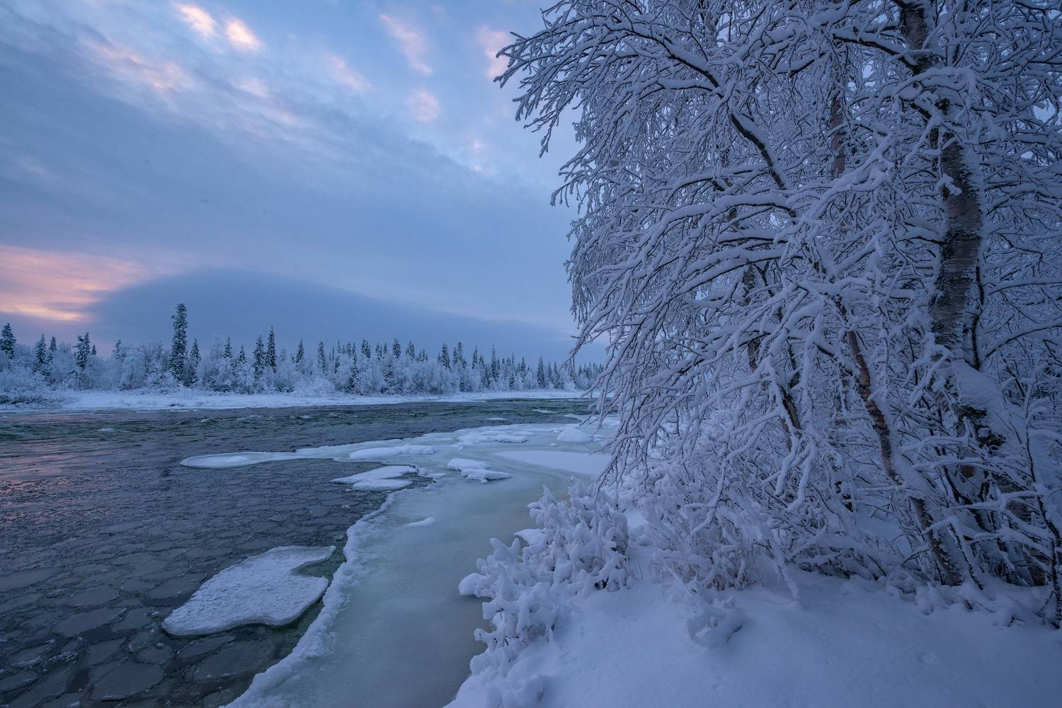 север, кольский, заполярье, умба, Роман Горячий