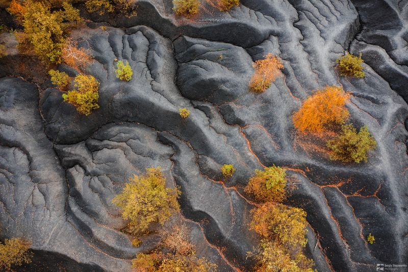 Autumn of the Moonphoto preview