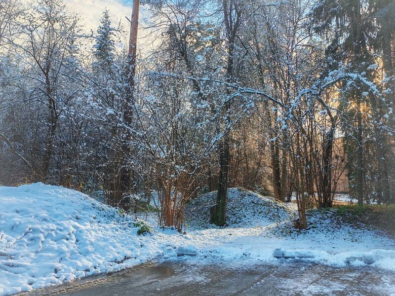 иней на деревьяхphoto preview