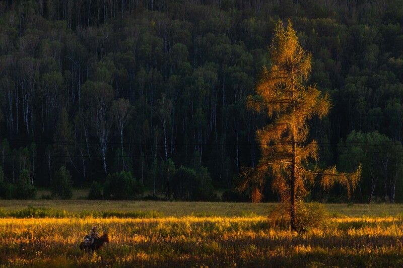 тюнгур, горный алтай Тюнгурphoto preview