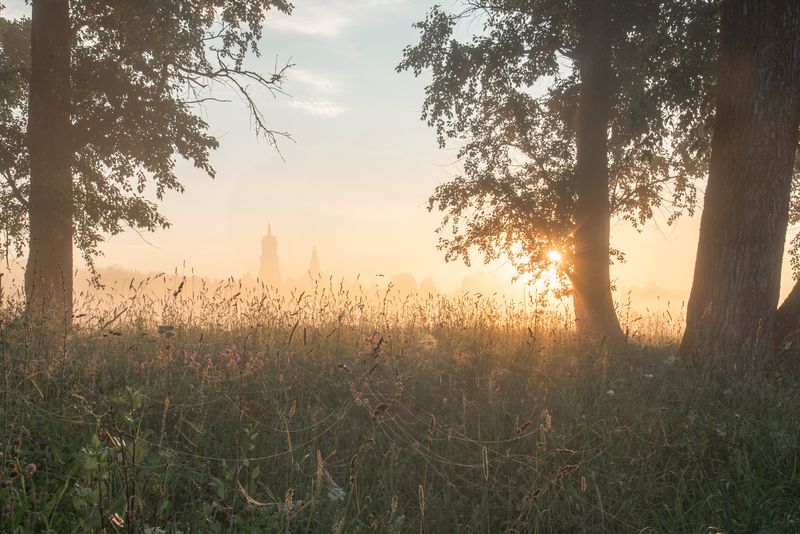 Паутинкиphoto preview