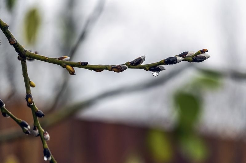 Тёплый ноябрьphoto preview