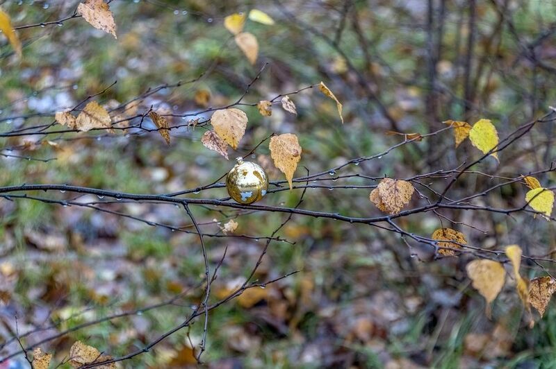 Скоро Новый Годphoto preview