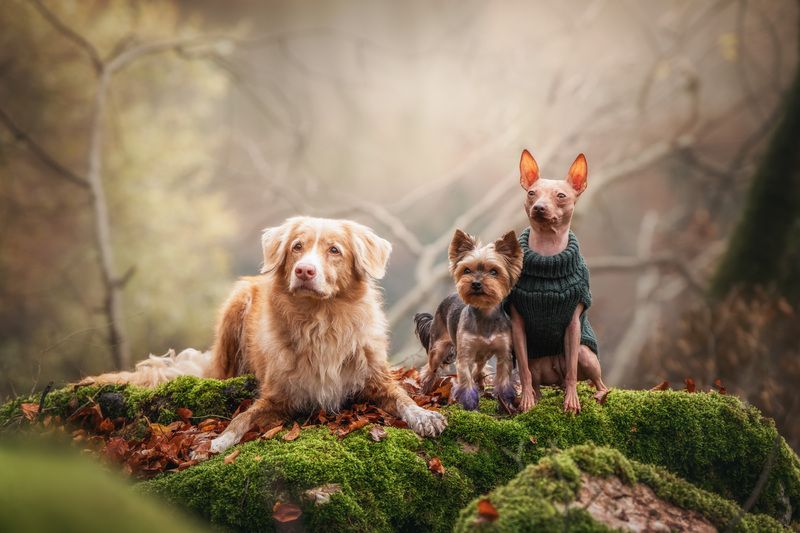 Дружбаphoto preview