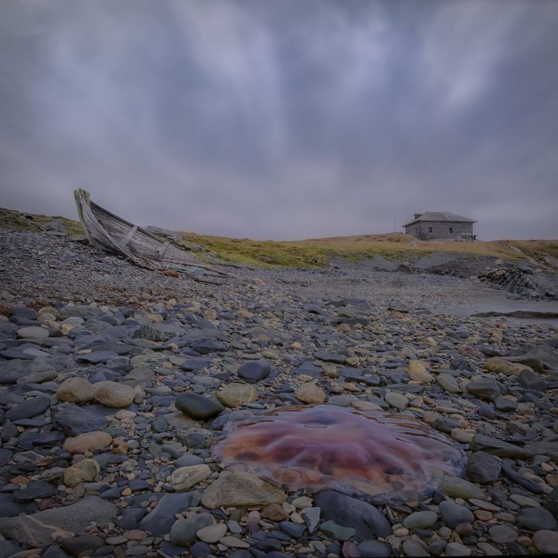 На берегах Новой Земли. Фактория Русановаphoto preview