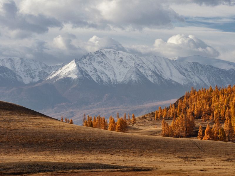 алтай, горный алтай, республика алтай, курай, северо-чуйский хребет Северо-Чуйский хребетphoto preview