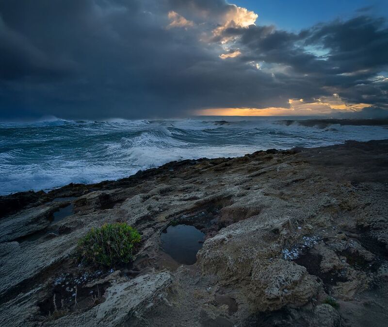 Растущие на камнях.photo preview