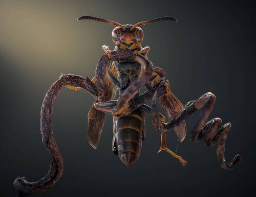 The hunter’s perch